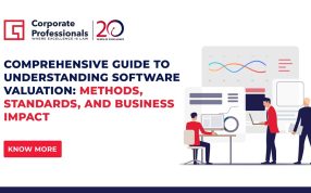 Comprehensive Guide to Understanding Software Valuation: Methods, Standards, and Business Impact